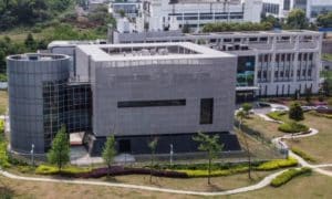 Wuhan Institute of Virology e1588896831940 700x420 1