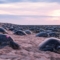 Костенурките гнездят на остров Рейн, отдалечената северна част на щата Куинсланд, Австралия. Снимката е направена през декември 2019 г. и предоставена на “Ройтерс” на 10 юни 2020 г. (С любезното съдействие на Кристиан Милър / Департамент по околна среда и наука на Куинсланд
 / Фондация "Голям бариерен риф" / “Ройтерс”)