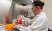 Лаборантка изследва протеинови проби в лаборатории „Новавакс“ в Роквил, Мериленд, една от лабораториите, разработващи ваксина срещу COVID-19, 20 март 2020 г. (Андрю Кабайеро-Рейнолдс / AFP през Getty Images