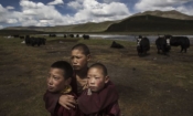 Млади тибетски будистки монаси сред затревените поля на своя номадски лагер в Тибетското плато в окръг Маду, провинция Цинхай, Китай на 24 юли 2015 г.