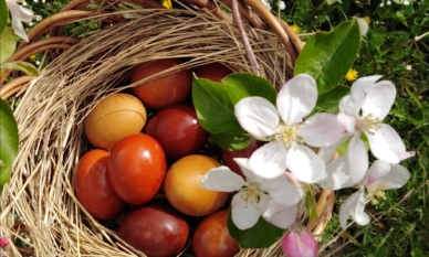 Боядисване на великденски яйца с естествени материали 1 Боядисване на великденски яйца с естествени материали