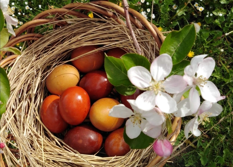 Боядисване на великденски яйца с естествени материали 1 Боядисване на великденски яйца с естествени материали