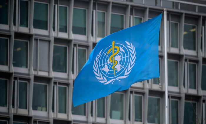 Знамето на Световната здравна организация (СЗО) в централата им в Женева, 5 март 2021 г.
(Photo by Fabrice COFFRINI / AFP)