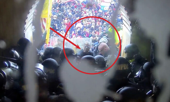 Полицейско насилие ли причини смъртта на Розан Бойланд в Капитолия? (видео) 1 Полицейско насилие ли причини смъртта на Розан Бойланд в Капитолия? (видео)