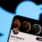 Илюстрация на акаунта на Илън Мъск в Twitter на фона на логото на Twitter, 15 април 2022 г. (Дадо Рувич /Илюстрация/"Ройтерс")