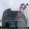 Европейският парламент, 12 октомври 2012. Десет години по-късно ЕС приема втора резолюция срещу насилственото отнемане на органи в Китай (снимка: Фредерик Флорин/AFP/Getty Images)