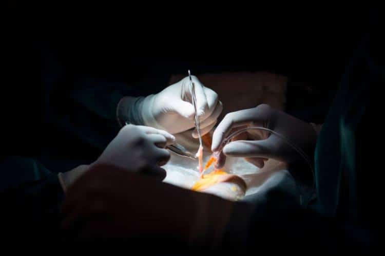 Лекари се подготвят за трансплантация на бъбрек - снимка от архив. (Пиер-Филип Марку/AFP/Getty Images)