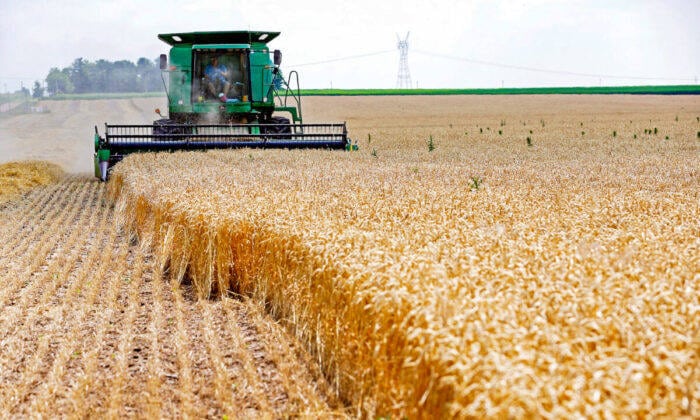 Комбайн преминава през стъбла от мека червена зимна пшеница по време на жътва във ферма в Диксън, Илинойс, на 16 юли 2013 г. (снимка: "Ройтерс"/Джим Ян)