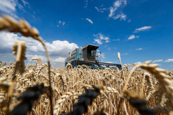 Ukraine combine harvests 1200x800 600x400 1