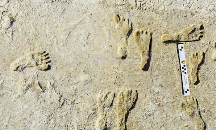 Човешки вкаменелости от Африка поставят под въпрос научното разбиране за еволюцията 1 Човешки вкаменелости от Африка поставят под въпрос научното разбиране за еволюцията