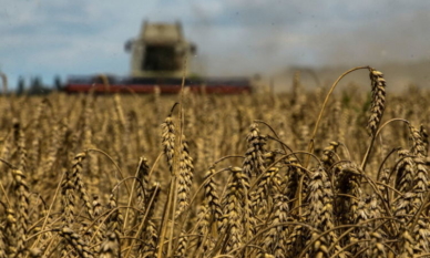 Скок в цените на зърното – Русия се оттегля от „Черноморската зърнена инициатива“