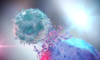 NK-клетка унищожава ракова клетка. NK-клетките са гранулирани лимфоцити, които са част от първата линия на защита срещу ракови клетки и заразени с вируси клетки (Alpha Tauri 3D Graphics/Shutterstock)