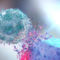 NK-клетка унищожава ракова клетка. NK-клетките са гранулирани лимфоцити, които са част от първата линия на защита срещу ракови клетки и заразени с вируси клетки (Alpha Tauri 3D Graphics/Shutterstock)