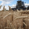 Земеделски производители прибират пшеницата на фона на руското нападение срещу Украйна в района на Донбас, Украйна, 13 юли 2022 г. REUTERS/Gleb Garanich