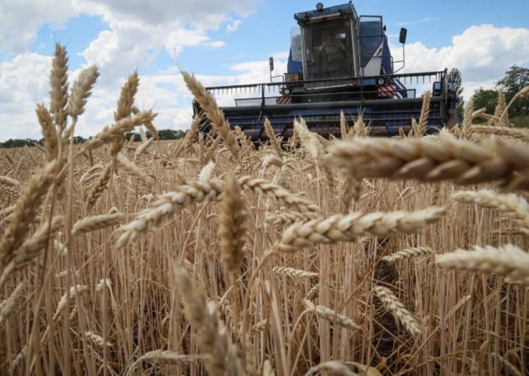 Земеделски производители прибират пшеницата на фона на руското нападение срещу Украйна в района на Донбас, Украйна, 13 юли 2022 г. REUTERS/Gleb Garanich