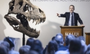 Сирил Колер, главен изпълнителен директор на аукционна къща Koller, стои до главата на скелета на Тиранозавър Рекс на име Тринити по време на търг в Цюрих, Швейцария, на 18 април 2023 г. (Michael Buholzer/Keystone via AP)