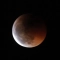 Лунно затъмнение, 2011 г. (DESIREE MARTIN/AFP via Getty Images)