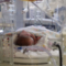 Новородено бебе в родилното отделение на болница "Фримли Парк" в Съри, Обединеното кралство, на 22 май 2020 г. (Стив Парсънс - Pool/Getty Images)