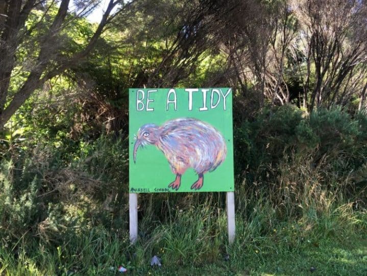 be a tidy kiwi