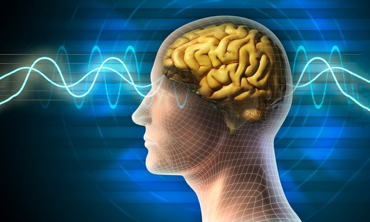 Какво се случва със съзнанието след смъртта на мозъка