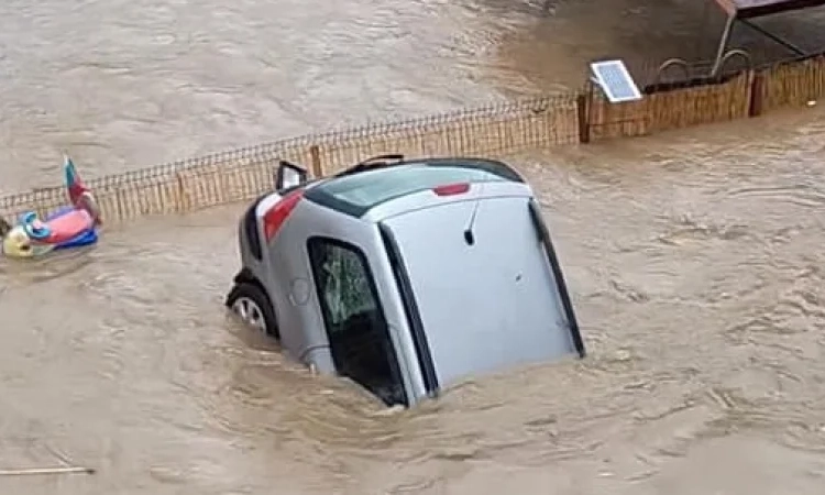 Емил Пейчев: Моделът „Лапчев-Цигуларов“ вече е опасен за всички