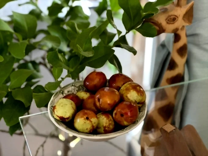 Хинап (китайска фурма) – 10 ползи за здравето