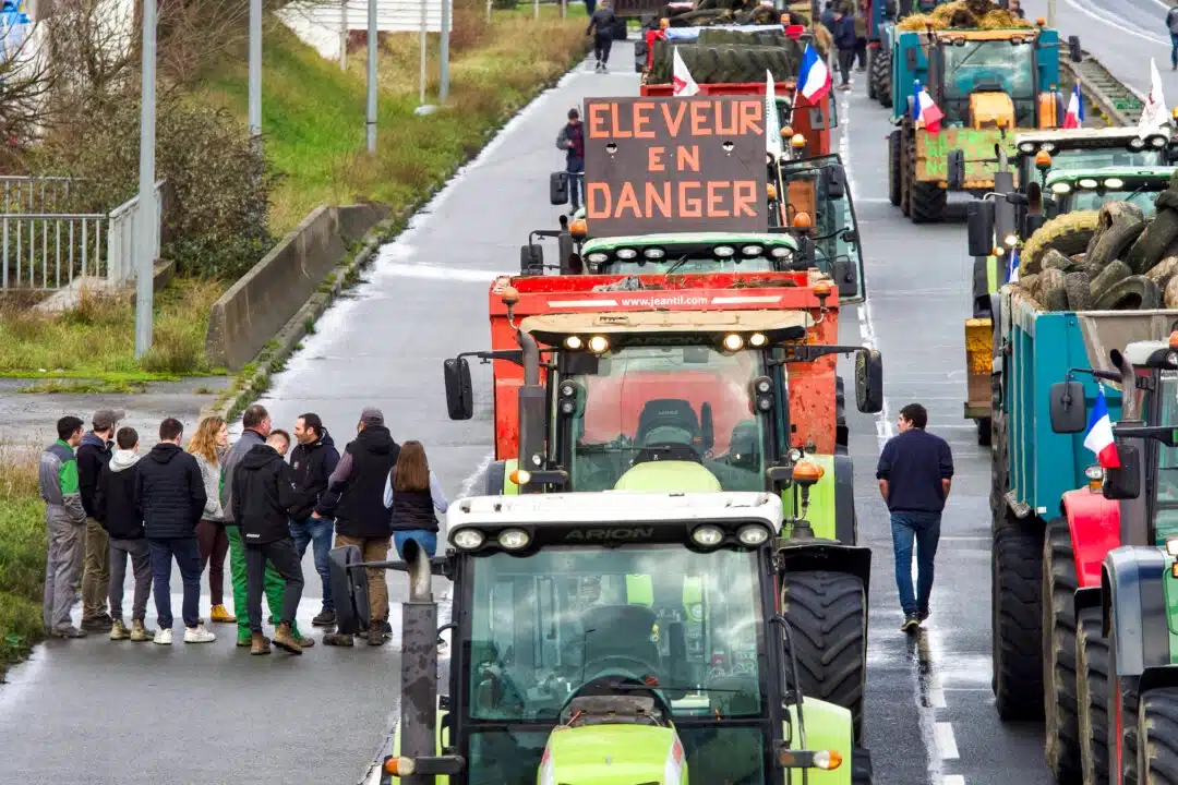 Френски фермери спират тракторите си на път D338 в Льо Ман, северозападна Франция, на 26 януари 2024 г. като част от национален ден на протести, свикан от няколко фермерски съюза срещу заплащането, данъците и свръхрегулирането. Табелата на един от тракторите гласи „животновъд в опасност“. (GUILLAUME SOUVANT/AFP) промишлени купувачи, както и на сложните екологични разпоредби. (ГИЙОМ СУВАН/АФП)