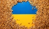 Илюстративна снимка с украинското знаме, покрито със зърно, 9 май 2022 г. (Dado Ruvic/Reuters)