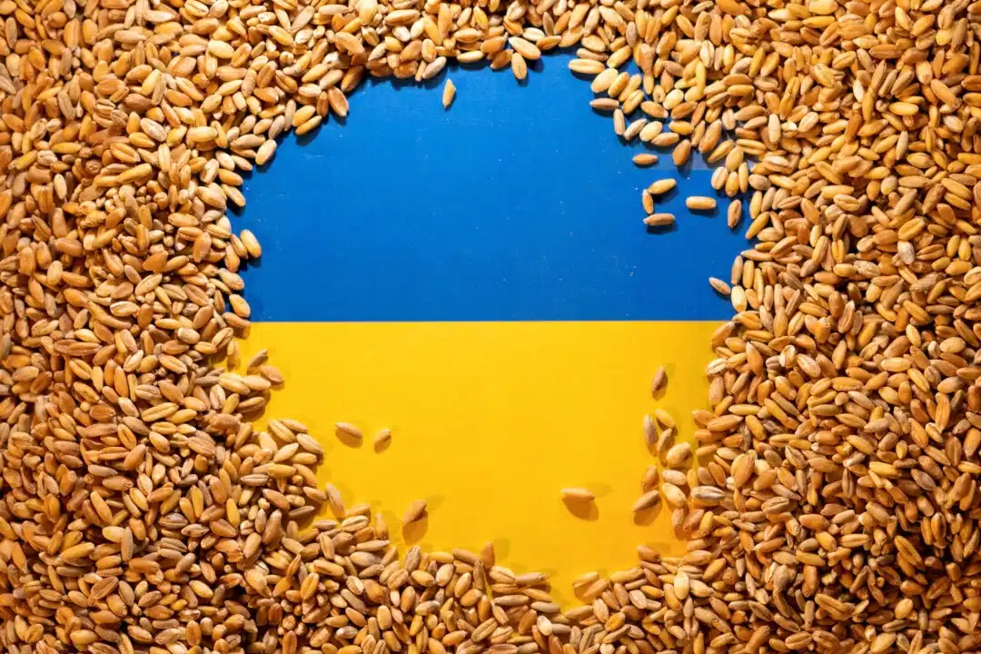 Илюстративна снимка с украинското знаме, покрито със зърно, 9 май 2022 г. (Dado Ruvic/Reuters)