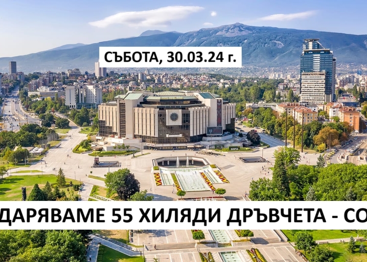 55 хиляди дръвчета подарък за софиянци от Гората.бг 1 55 хиляди дръвчета подарък за софиянци от Гората.бг