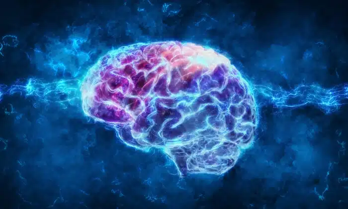 Възможна ли е регенерацията на мозъка и как да я постигнем?