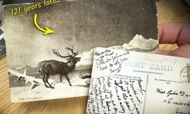 Пощенска картичка, изпратена през 1903 г., най-накрая пристига на адрес 1 Пощенска картичка, изпратена през 1903 г., най-накрая пристига на адрес