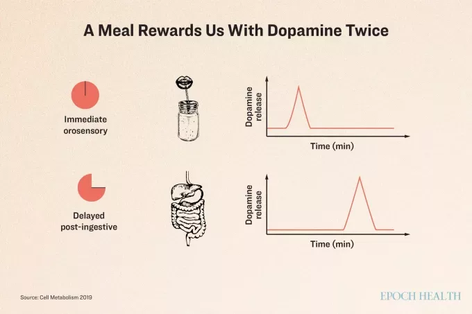 meditation for food addiction