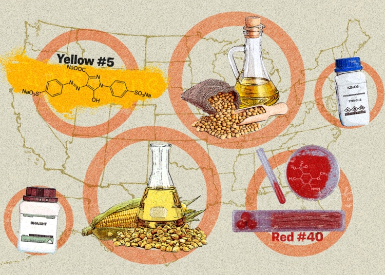 Робърт Ф. Кенеди-младши се прицели в тези хранителни добавки - какво би могъл да направи като министър на здравеопазването и социалните услуги? 1 РФК-младши се прицели в тези добавки - какво би могъл да направи като министър на здравеопазването и социалните услуги?