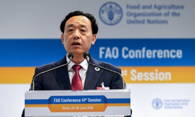 Американски законодатели изразяват тревога относно връзките на Китай с хранителната програма на ООН