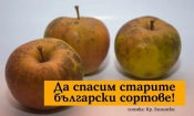 https://www.agrolink.org/