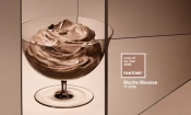 Цветът на 2025 година е Mocha Mousse (https://www.pantone.com/)