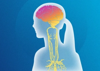 Стимулирането на вагусовия нерв чрез дихателни упражнения и сензорна стимулация може да помогне при депресия и тревожност.