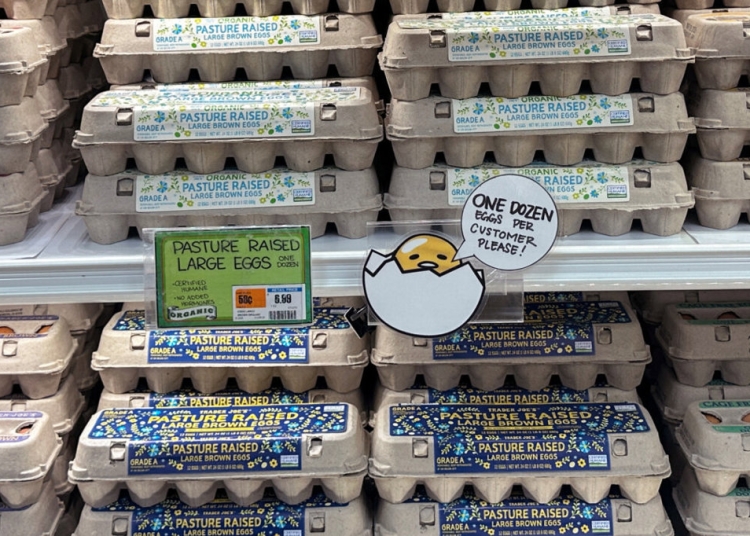 Турция ще изнесе 15 000 тона яйца за САЩ заради проблемите с птичия грип 1 Турция ще изнесе 15 000 тона яйца за САЩ