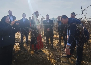 Зарязването на лозята на Института по лозарство и винарство в местността „Томовското“ край Плевен. Снимки: администрация на Плевенска област чрез plevenutre.bg