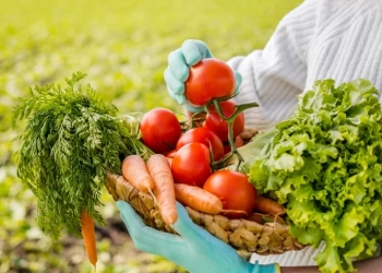 woman holding basket full vegetables close up