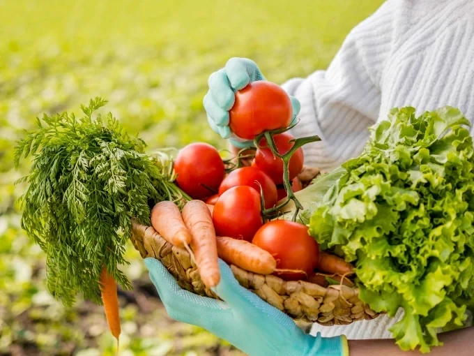 Фестивал в защита на традиционното земеделие организират от сдружение „Агролинк“ 1 Фестивал в защита на традиционното земеделие организират от сдружение „Агролинк“