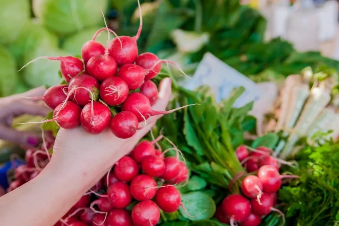 woman holding fresh radishes dieting healthy eating lifesty