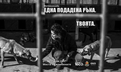Разгледайте фотоизложбата „Една подадена ръка. Твоята“