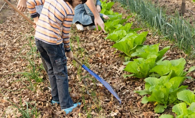 brothers working with rake greenhouse