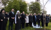 По време на официалното бе   засаден млад дъб - символ на българската гора и на дълголетие. Снимка: Прес служба на президентската институция