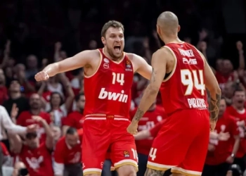 (https://www.euroleaguebasketball.net/)