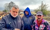 Пламен Пасков: "Диагнозата е глад"
