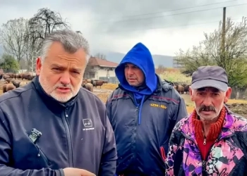 Пламен Пасков: "Диагнозата е глад"