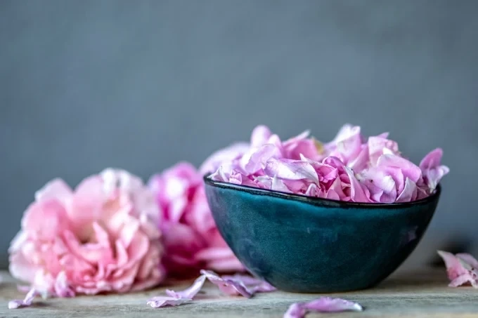 Роза Дамасцена: полезни свойства и рецепти 1 Роза Дамасцена: полезни свойства и рецепти